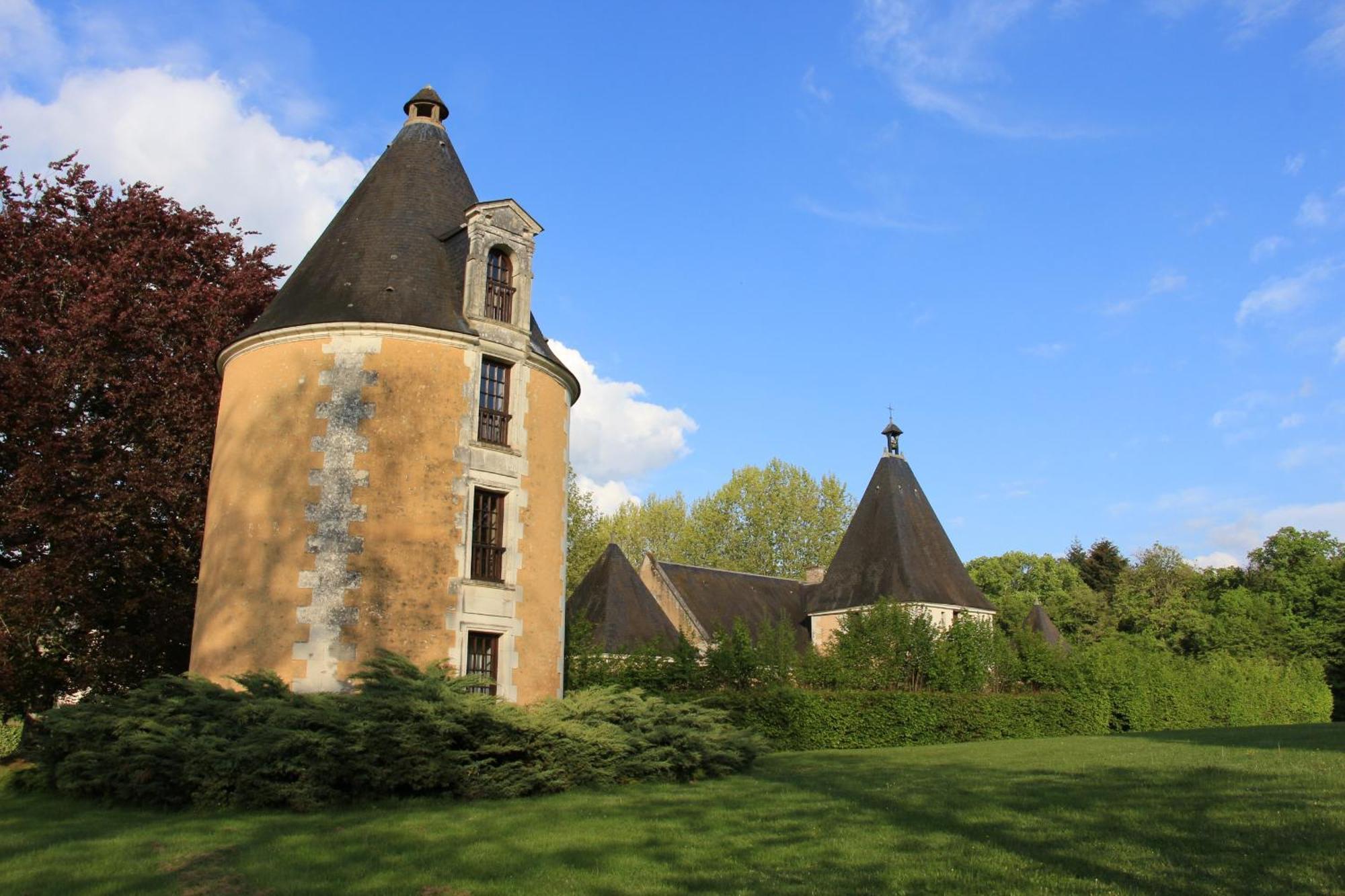 Chateau De La Menaudiere Chissay-en-Touraine Luaran gambar
