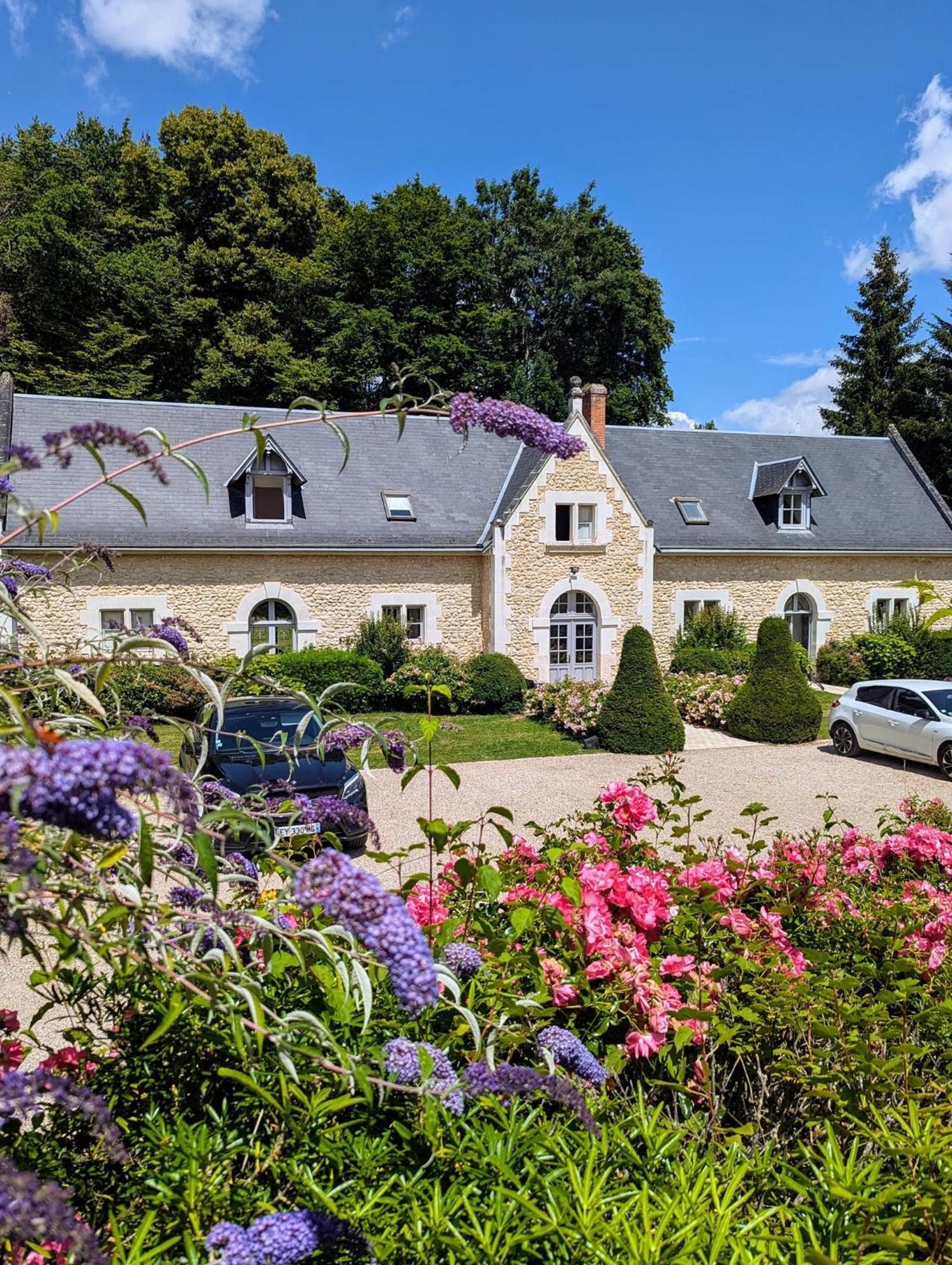 Chateau De La Menaudiere Chissay-en-Touraine Luaran gambar
