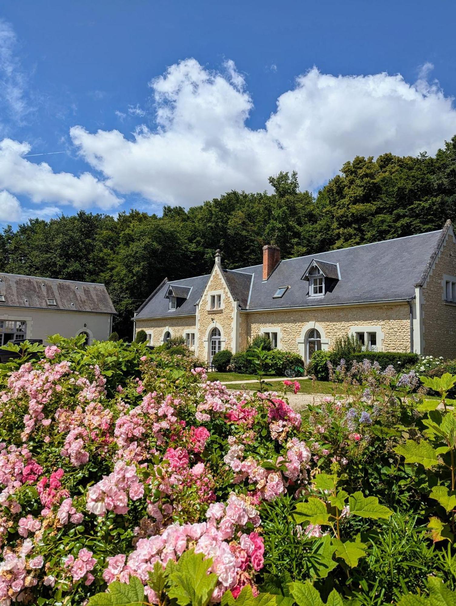 Chateau De La Menaudiere Chissay-en-Touraine Luaran gambar
